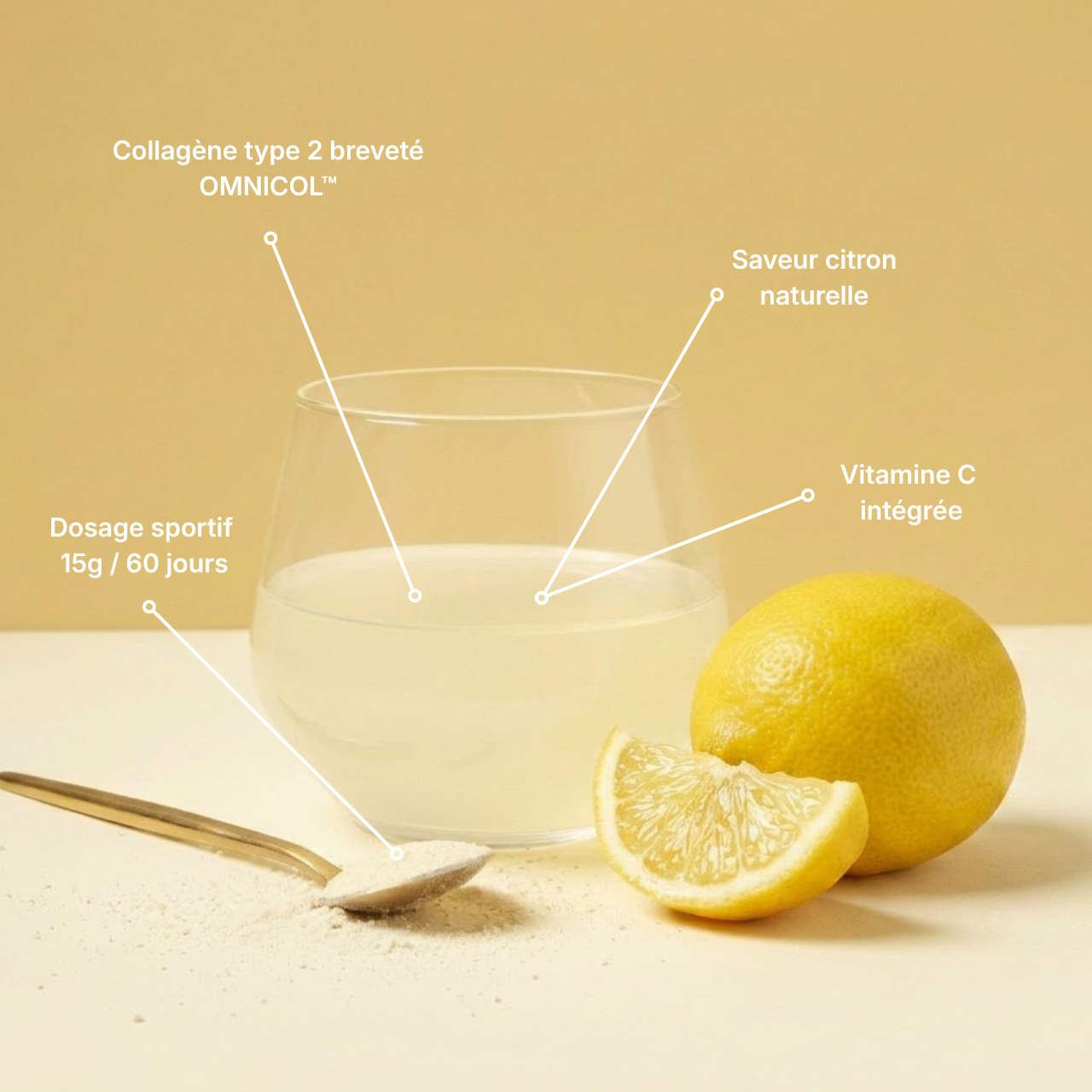 Collagène Type 2 OMNICOL™ 900g