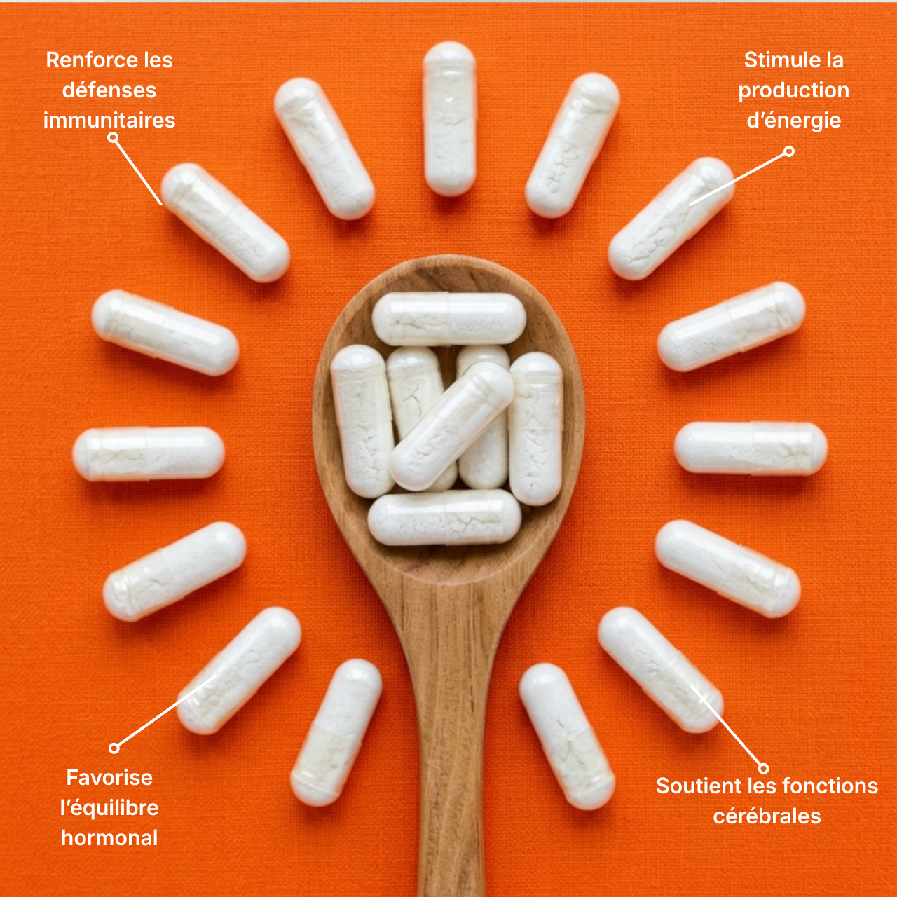 MULTIVITAMINES
