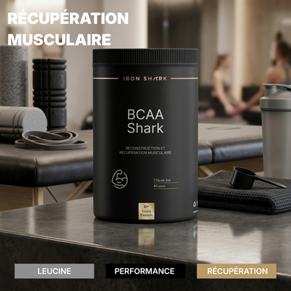 BCAA 8.1.1