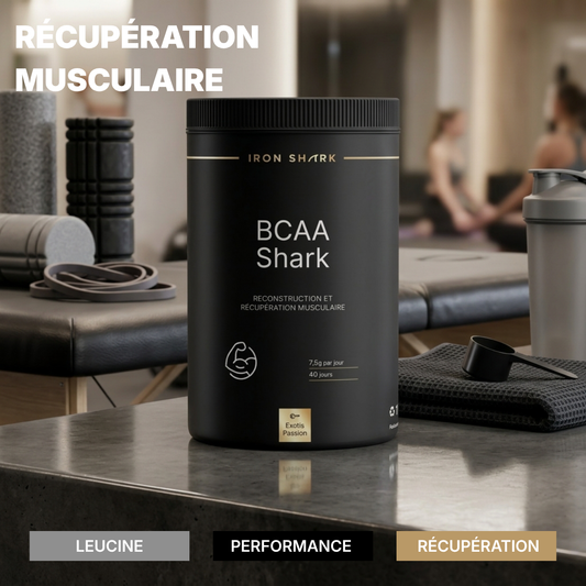 BCAA 8.1.1