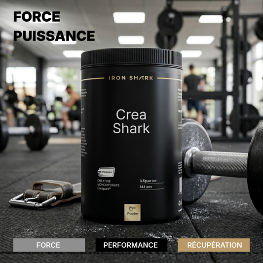 CRÉA SHARK